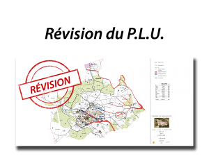 cadre revision