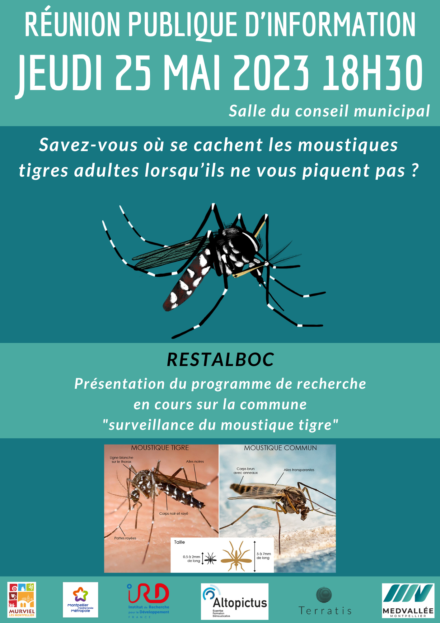 Moustique tigre Aedes albopictus et lutte anti-vectorielle